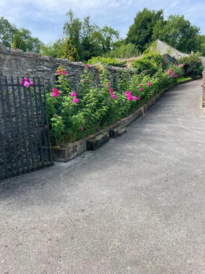 Large Townhouse With Gardens Apartment Kingscourt Exterior foto
